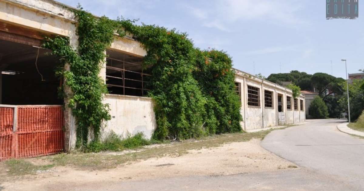 �L'ex Ferrero non � leggenda: dal 57 al 59 Bari ospit� la fabbrica di cioccolato�